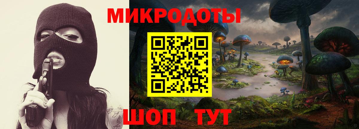 Всеволожск  Псилоцибиновые грибы Psilocybine cubensis  Вход с VPN  Галлюциногенные грибы Psilocybine cubensis 